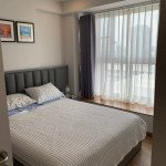 Cho-thue-can-ho-chung-cu-Scenic-Valley-1-Phu-My-Hung-quan-7 (6)