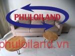 Cho-thue-can-ho-chung-cu-Scenic-Valley-1-Phu-My-hung-quan-7 (3)