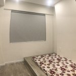 Cho-thue-can-ho-chung-cu-Scenic-Valley-2-Phu-My-Hung-quan-7 (10)