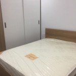 Cho-thue-can-ho-chung-cu-Scenic-Valley-2-Phu-My-Hung-quan-7 (27)