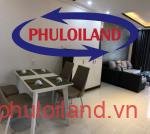 Cho-thue-can-ho-chung-cu-Scenic -Valley-2-Phu-My-Hung-quan-7 (3)