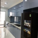 Cho-thue-can-ho-chung-cu-Scenic -Valley-2-Phu-My-Hung-quan-7 (4)