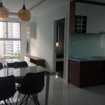 Cho-thue-can-ho-chung-cu-Scenic-Valley-2-Phu-My-Hung-quan-7 (41)