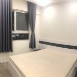 Cho-thue-can-ho-chung-cu-Scenic-Valley-2-Phu-My-Hung-quan-7 (6)