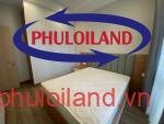 apartments-for-rent-in-phu-my-hung-district-7-ho-chi-minh (2)