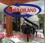 ban-biet-thu-don-lap-my-hoang-phu-my-hung (2)