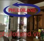 ban-biet-thu-don-lap-my-hoang-phu-my-hung (3)