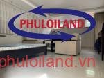 ban-biet-thu-don-lap-phu-my-van-phat-hung-co-thang-may (2)