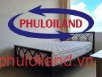 ban-can-ho-grand-view-b-phu-my-hung-duong-tran-van-tra-quan-7 (2)