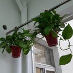 ban-can-ho-sky-garden-1 (1)