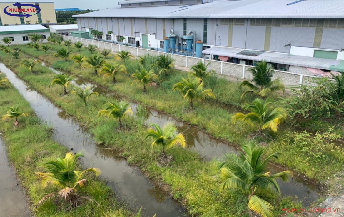 ban kho xuong ben luc long an 7 1170x738 - Bán lại kho, xưởng Huyện Bến Lức, tỉnh Long An, diện tích 13237m2, giá 145 tỷ