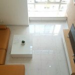 cho-thue-can-ho-penthouse-sky-garden-2 (14)