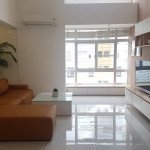cho-thue-can-ho-penthouse-sky-garden-2 (2)