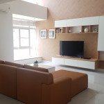 cho-thue-can-ho-penthouse-sky-garden-2 (20)
