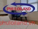 Ban-cho-thue-can-ho-chung-cu-SaiGon-South-Nguyen-Huu-Tho-Nha-Be (1)