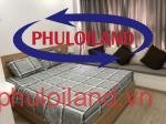 Cho-thue-can-ho-chung-cu-Scenic-Valley-1-Phu-My-Hung-quan-7 (7) - Copy