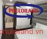 Cho-thue-can-ho-chung-cu-Scenic -Valley-2-Phu-My-Hung-quan-7 (10)