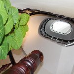 ban-biet-thu-canh-doi-phu-my-hung-quan-7 (2)