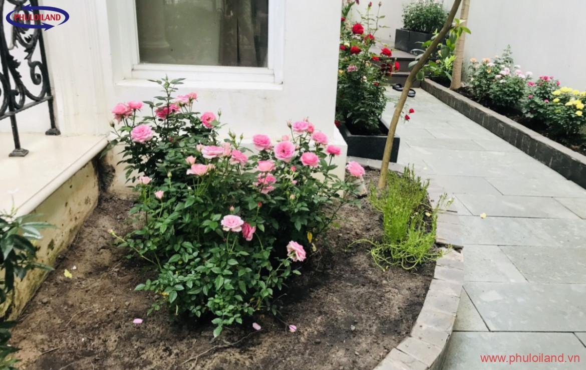 ban biet thu song lap my kim may tien duong noi khu 7 1170x738 - Bán gấp biệt thự song lập Mỹ Kim, nhà mới, nội thất cao cấp, có thang máy, giá 45 tỷ