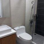 ban-gap-can-ho-scenic-valley-2-phu-my-hung (2)