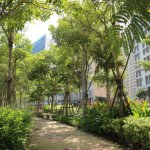 cong-vien-hoa-anh-dao