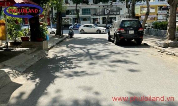 Bán nhà phố Hưng Phước 4, mặt tiền đường nhỏ nội khu, có thang máy, giá 24 tỷ