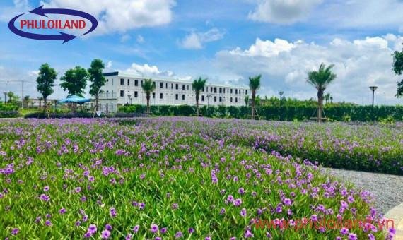 Bán nhà phố The Sol City, Huyện Cần Giuộc, Tỉnh Long An, giá gốc chủ đầu tư