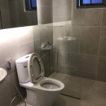 toilet-sang-trong-cua-can-ho-hung-phuc-ban