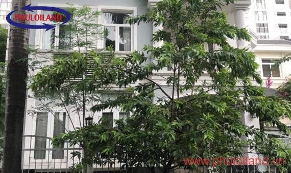 Cập nhật bảng giá mua bán nhà biệt thự tại Mỹ Văn, Phú Mỹ Hưng, tháng 8/2021