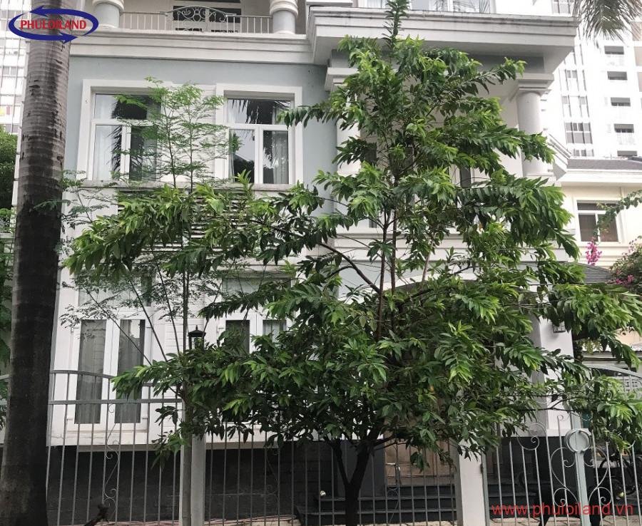 cap nhat bang gia mua ban biet thu tai my van phu my hung thang 8 2021 900x738 - Cập nhật bảng giá mua bán nhà biệt thự tại Mỹ Văn, Phú Mỹ Hưng, tháng 8/2021