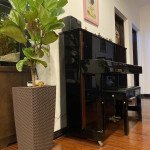 cap-nhat-bang-gia-mua-ban-can-ho-green-view-thang-8-2021