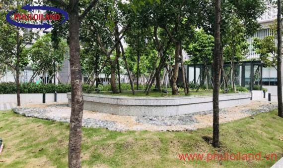 Cập nhật bảng giá mua bán căn hộ chung cư tại Saigon South Residences, Phú Mỹ Hưng, tháng 8/2021