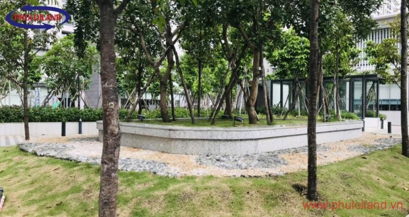 Cập nhật bảng giá mua bán căn hộ chung cư tại Saigon South Residences, Phú Mỹ Hưng, tháng 8/2021