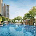 ho-hoi-tieu-chuan-olimpic