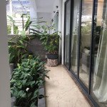 khoang-lui-phia-sau-cua-nha-my-thai