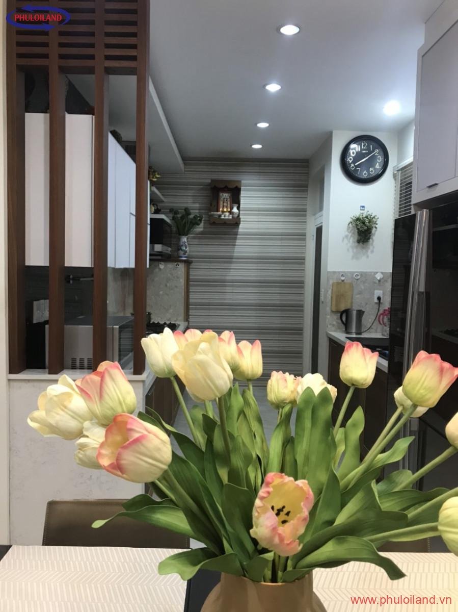 ban re biet thu My Phu 3 Phu My hung 9 - Bán nhanh biệt thự liền kế Mỹ Phú 3 Phú Mỹ Hưng, nhà mới đẹp, đường lớn, khu an ninh, chỉ 28 tỷ.