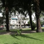 cong-vien-nam-vien-truoc-my-thai-1-tan-phu