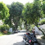 duong-noi-khu-my-phu-2b