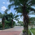 mot-goc-duong-di-bo-noi-khu-chateau