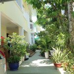 san-vuon-ben-hong-biet-thu