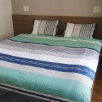 Ban-can-ho-chung-cu-Scenic-Valley-1-Phu-My-Hung-quan-7 (5)