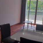 Ban-can-ho-chung-cu-Scenic-Valley-1-Phu-My-Hung-quan-7 (5)