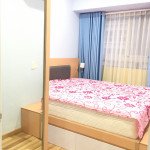 Cho-thue-can-ho-chung-cu-Scenic-Valley-1-Phu-My-Hung-quan-7 (6)