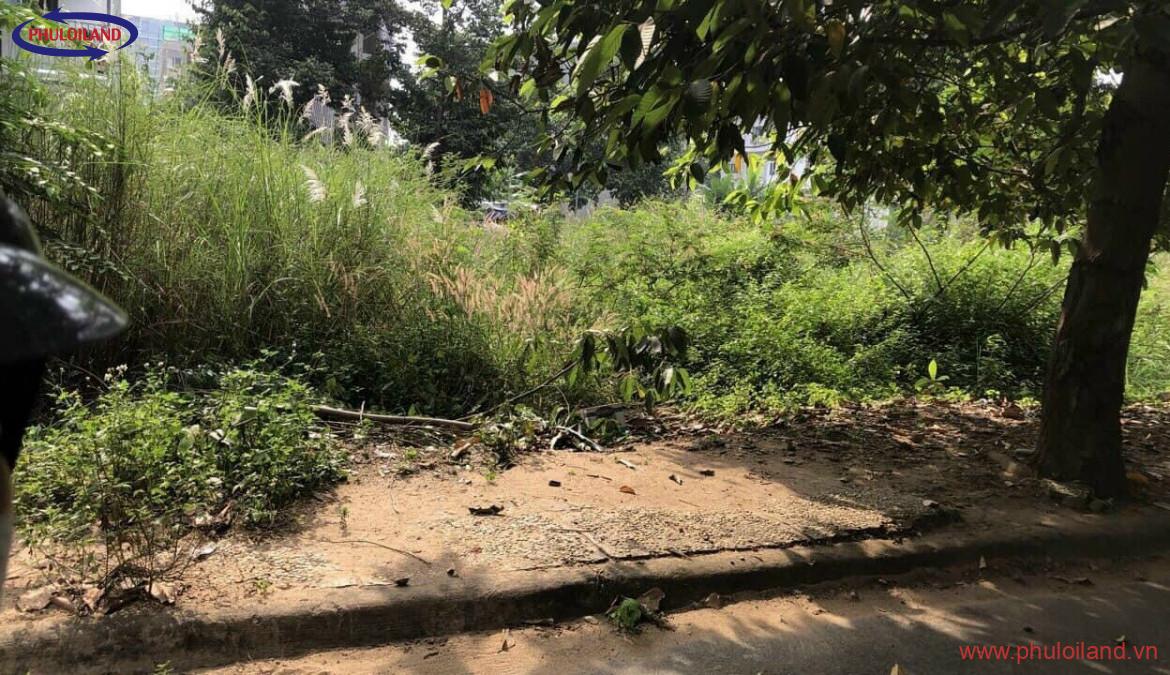 dat nen the ky 21 quan 2 than pho thu duc 1170x675 - Cần bán lô đất nền tại KDC Thế Kỷ 21, Quận 2, tp.Thủ Đức