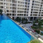 ho-boi-vo-cuc-tren-mai-nha