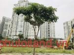 mua-ban-dat-nen-saigon-mystery-villas