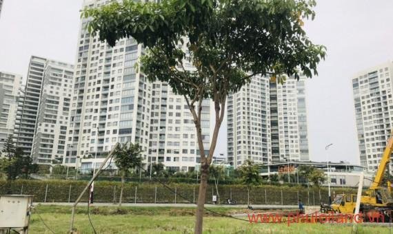 Bảng giá mua bán đất nền Saigon Mystery Villas, tháng 12/2021