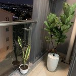 ban-cong-phong-khach-can-ho