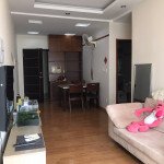 cho-thue-can-ho-sky-garden-3 (12)