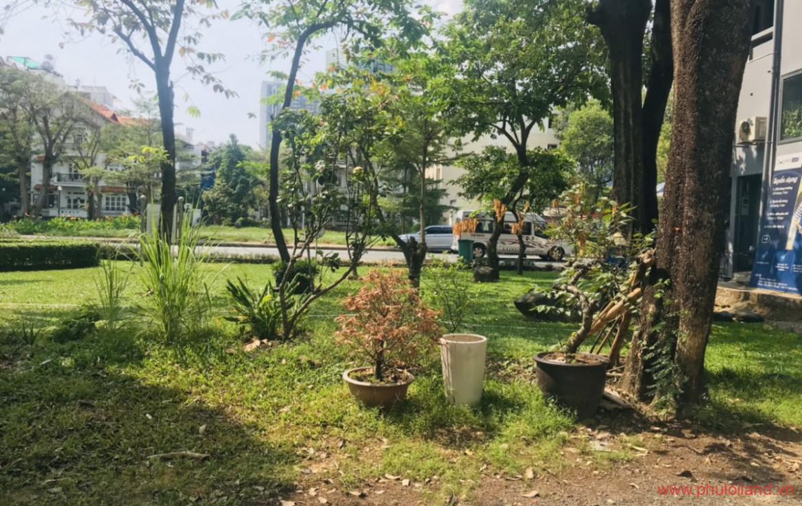 gia dat phu my hung quan 7 t1 2023 1170x738 - Giá đất Phú Mỹ Hưng Quận 7 T1/2023